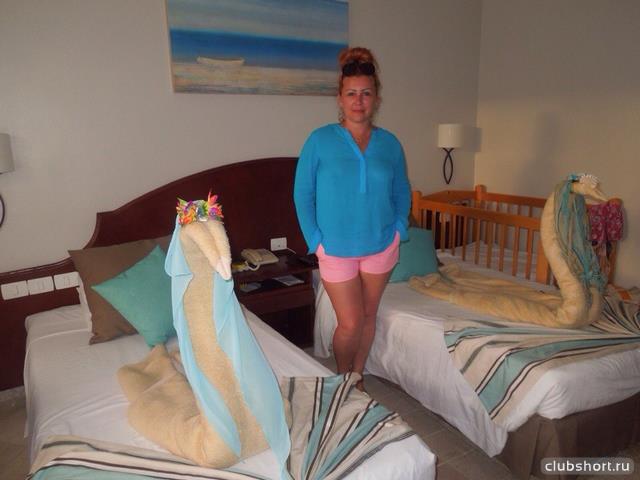 31979_cq02ns576_k.jpg